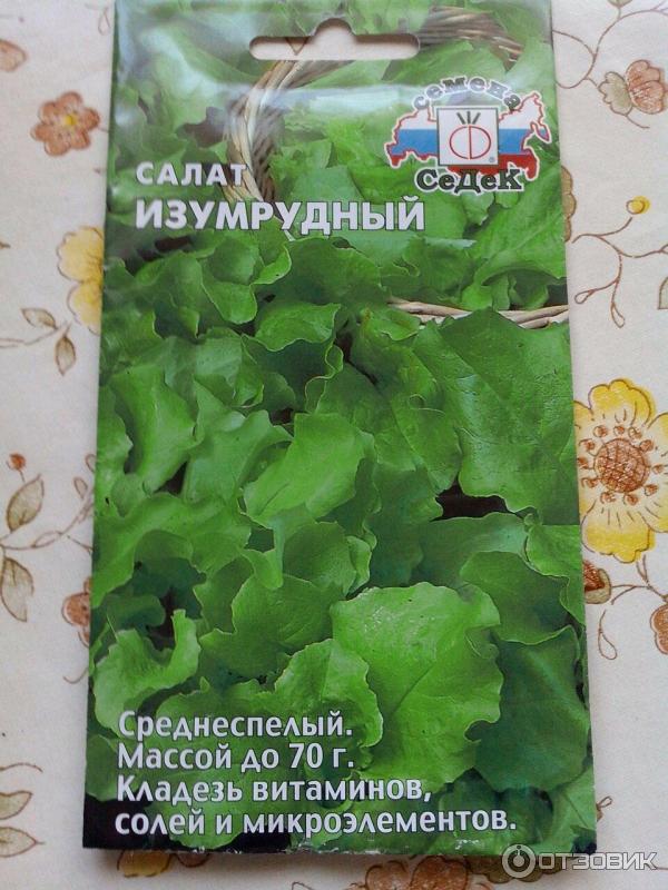 салат изумрудный семена фото