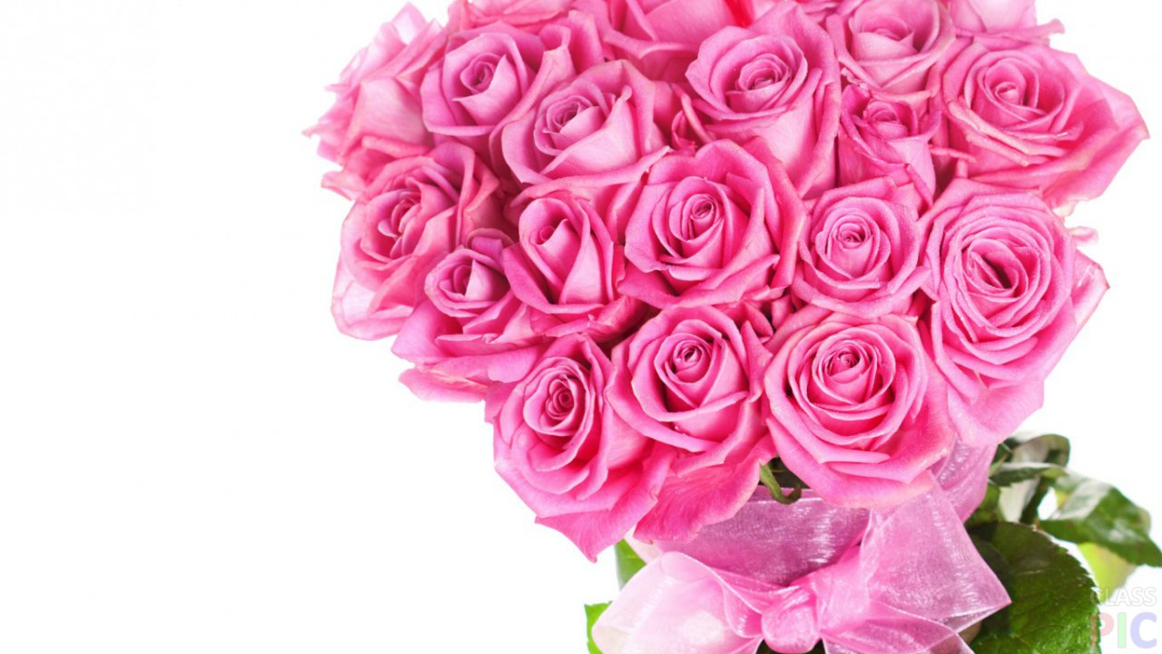 розовые розы фото букеты