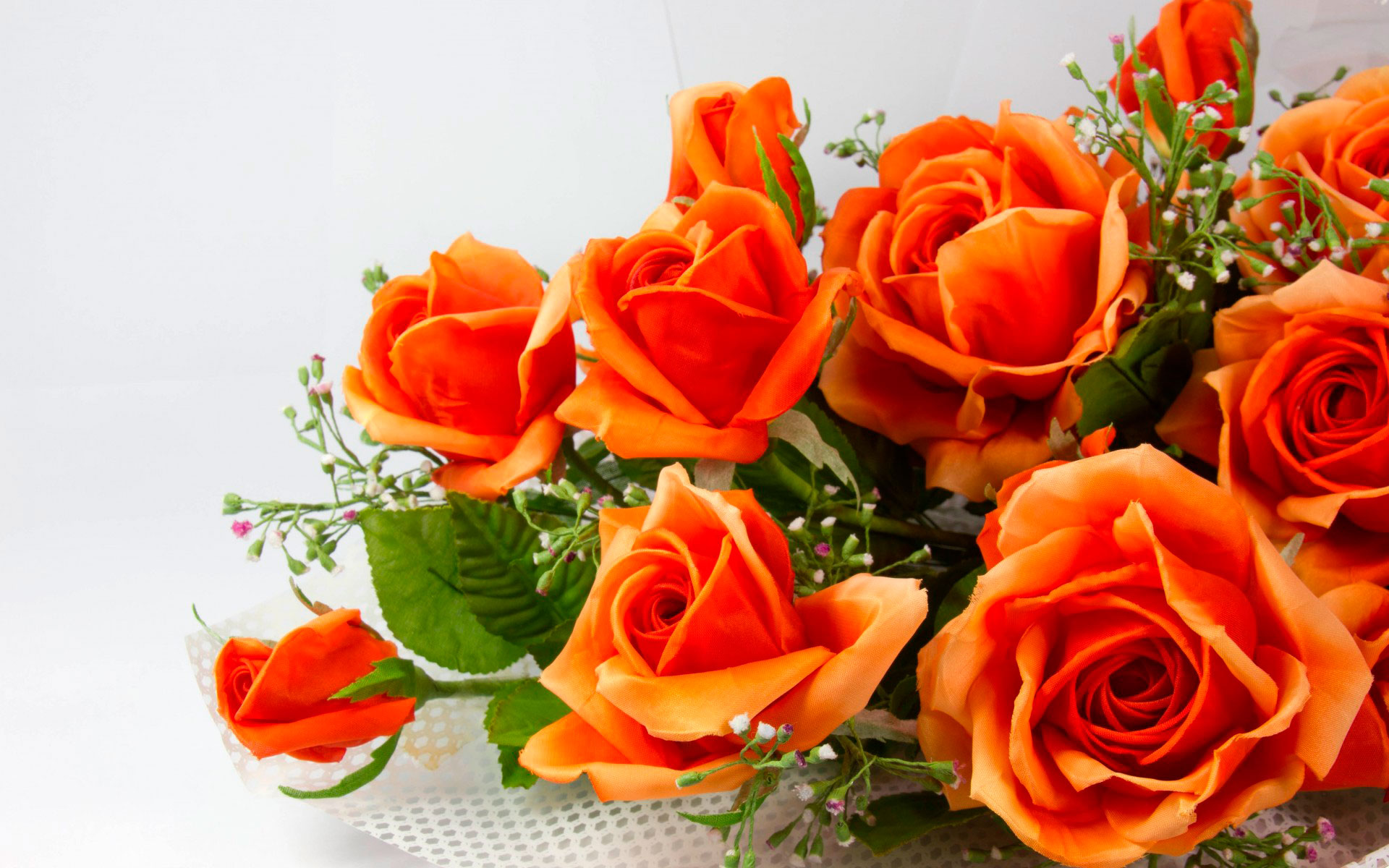 розы фото букеты красивые скачать бесплатно