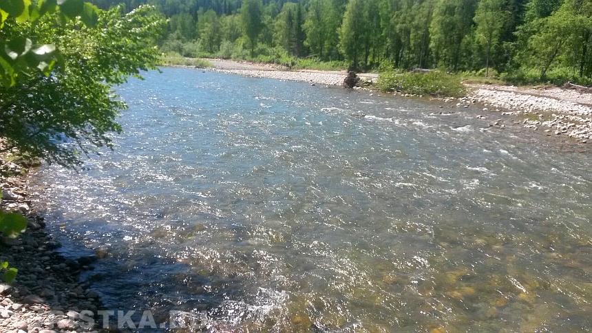река лебедь горный алтай фото