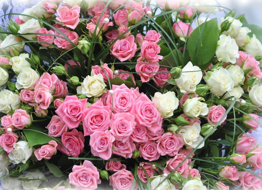 розы розовые фото букеты красивые на заставку