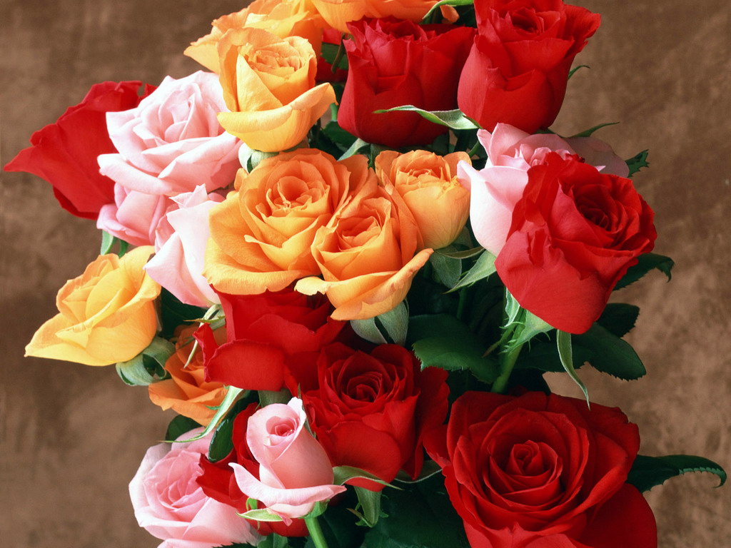 розы фото букеты красивые скачать бесплатно