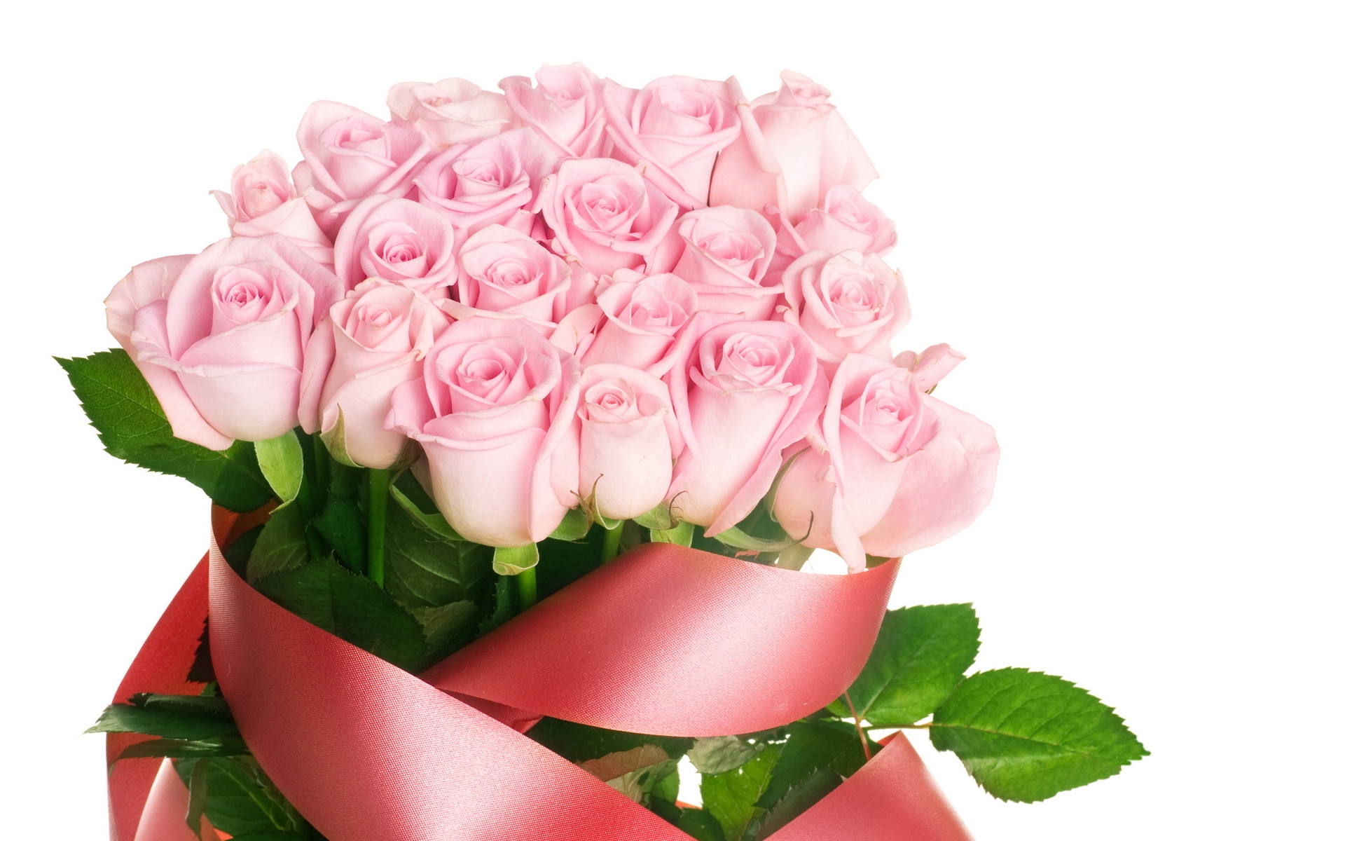 розовые розы фото букеты