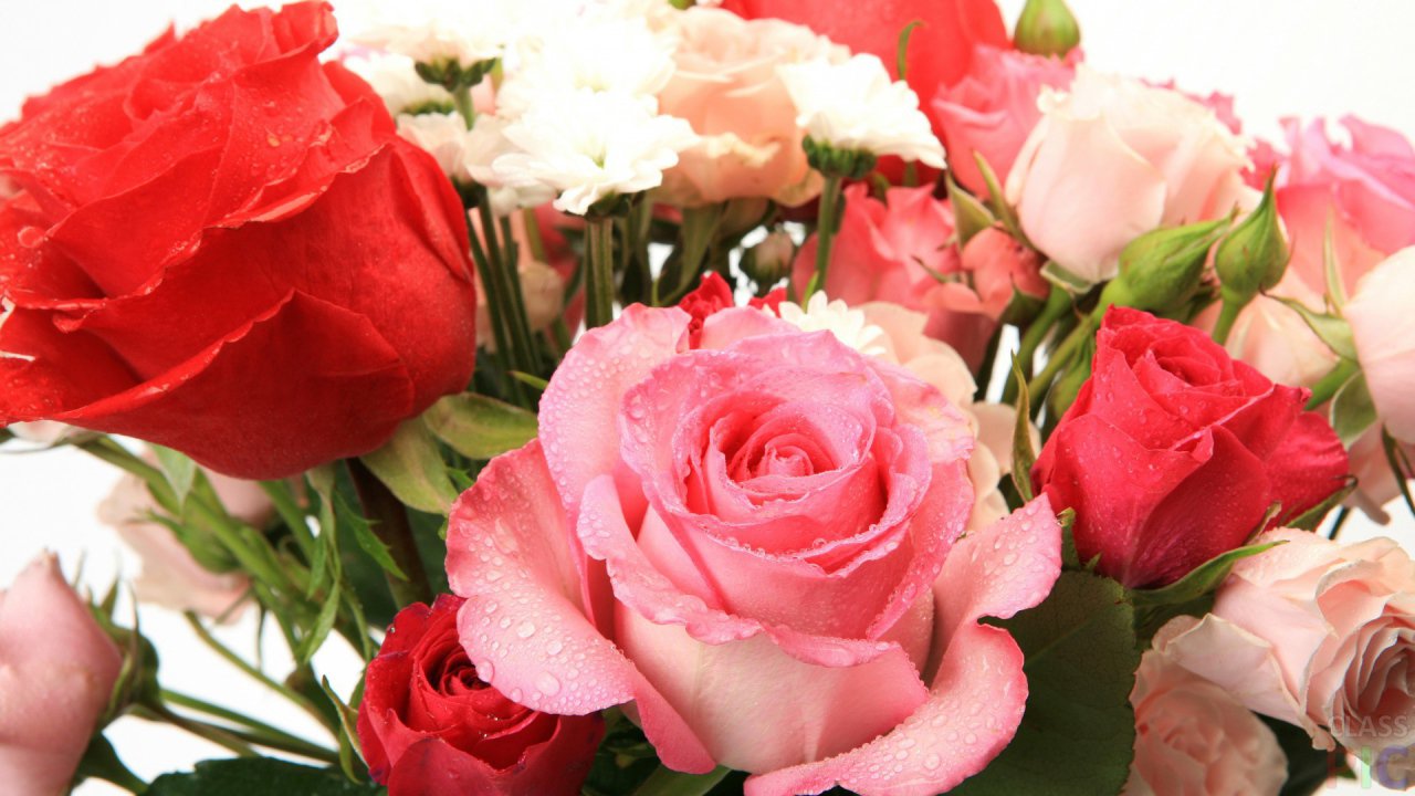 розы фото букеты красивые для женщины