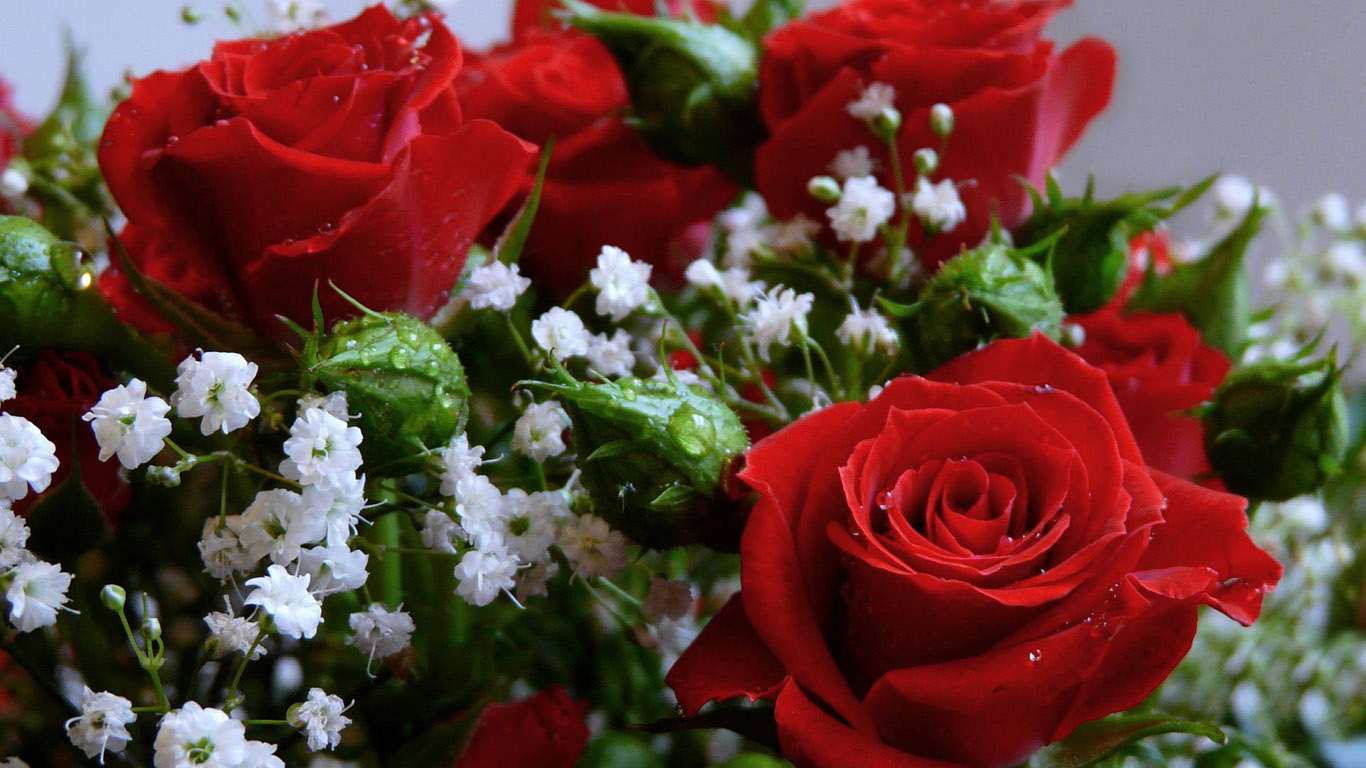 розы фото букеты красивые любимой