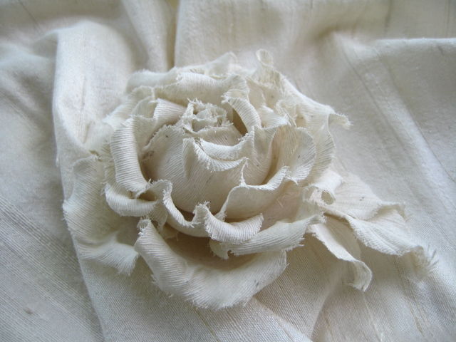 роза белая лебедь фото и описание