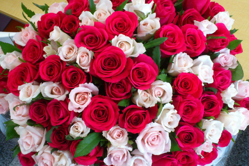 розы фото букеты красивые с днем рождения