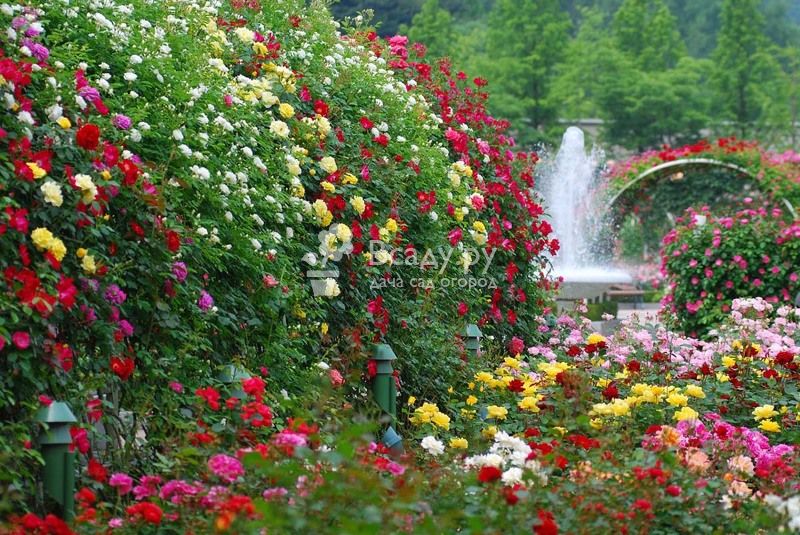 самые красивые сады и парки мира фото