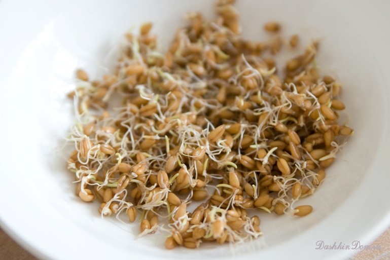 салат с ростками пшеницы рецепт с фото