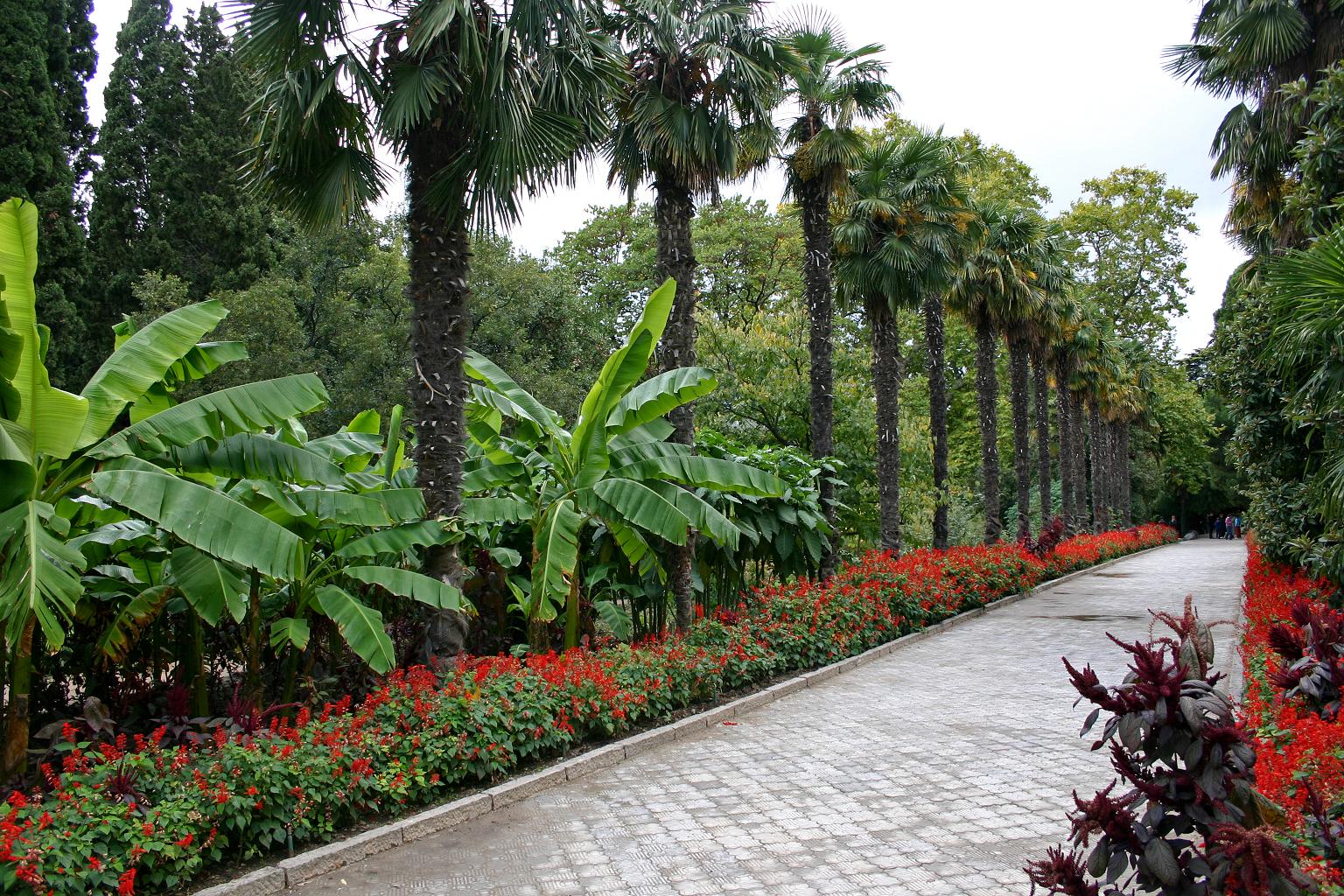 растения ботанического сада фото с названиями москва